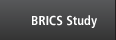 BRICS Study