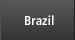 Brasil Country Report