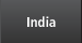 India Country Report